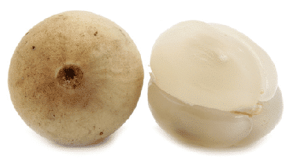 Famous Thai Fruits you must try. Exploring Thai Exotic Delights: A Comprehensive Guide to world renowned fruits. 7 Famous Thai Fruits you must try. Exploring Thai Exotic Delights: A Comprehensive Guide to world renowned fruits. 7