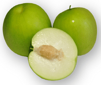 Famous Thai Fruits you must try. Exploring Thai Exotic Delights: A Comprehensive Guide to world renowned fruits. 14 Famous Thai Fruits you must try. Exploring Thai Exotic Delights: A Comprehensive Guide to world renowned fruits. 14