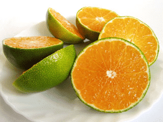 Famous Thai Fruits you must try. Exploring Thai Exotic Delights: A Comprehensive Guide to world renowned fruits. 12 Famous Thai Fruits you must try. Exploring Thai Exotic Delights: A Comprehensive Guide to world renowned fruits. 12