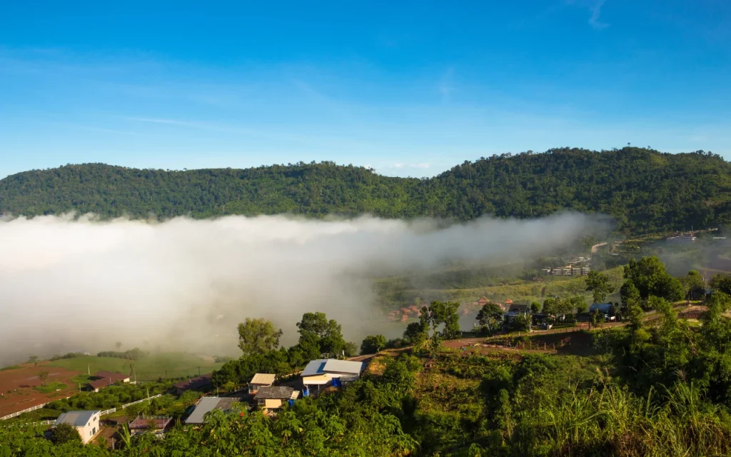 สวนลับริมสายน้ำ – ทุกใบไม้มีเรื่องเล่า 4